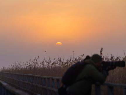 Sonnenaufgang am Federsee